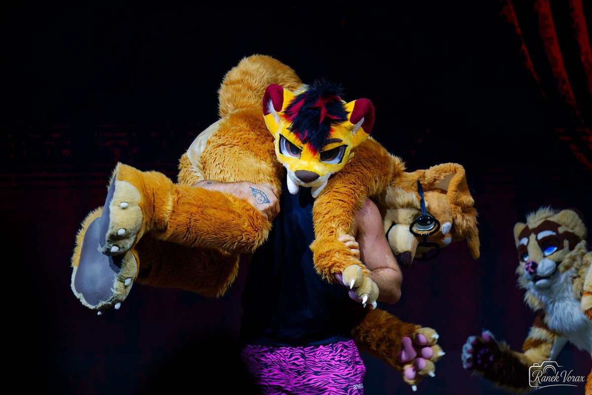 Max 🍞🐶 🔜 Ibercon (goh) 🇪🇸 tweet media