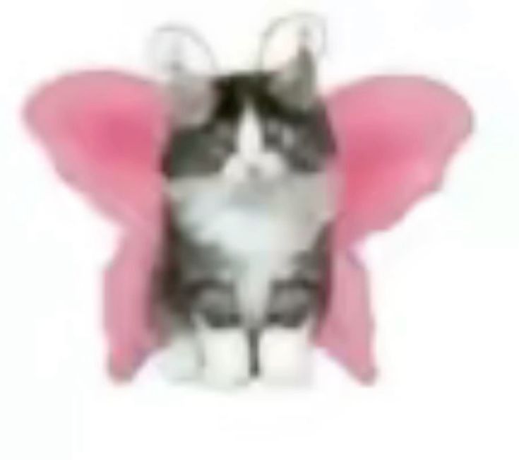catsdotjpg's tweet photo. https://t.co/DAlSR1yxaF
