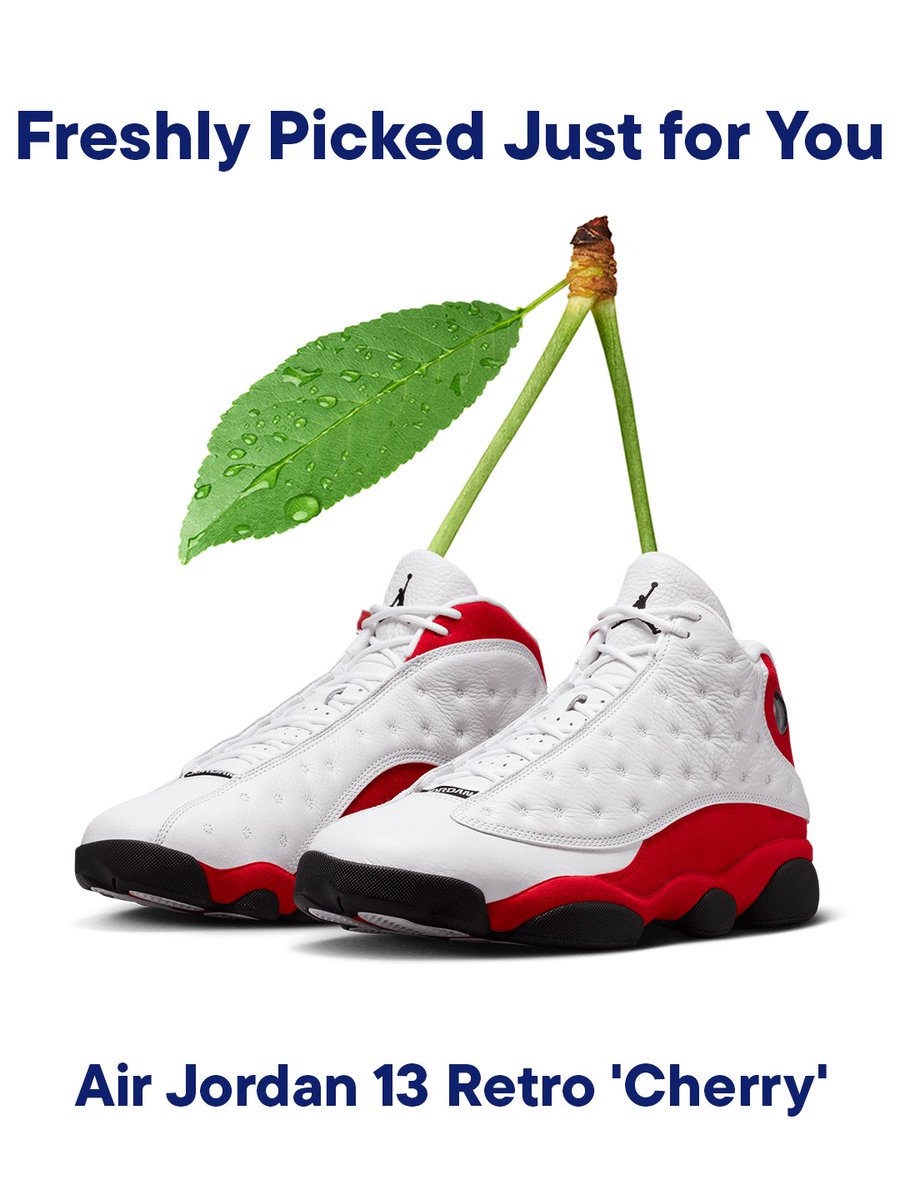 champs air jordan 13