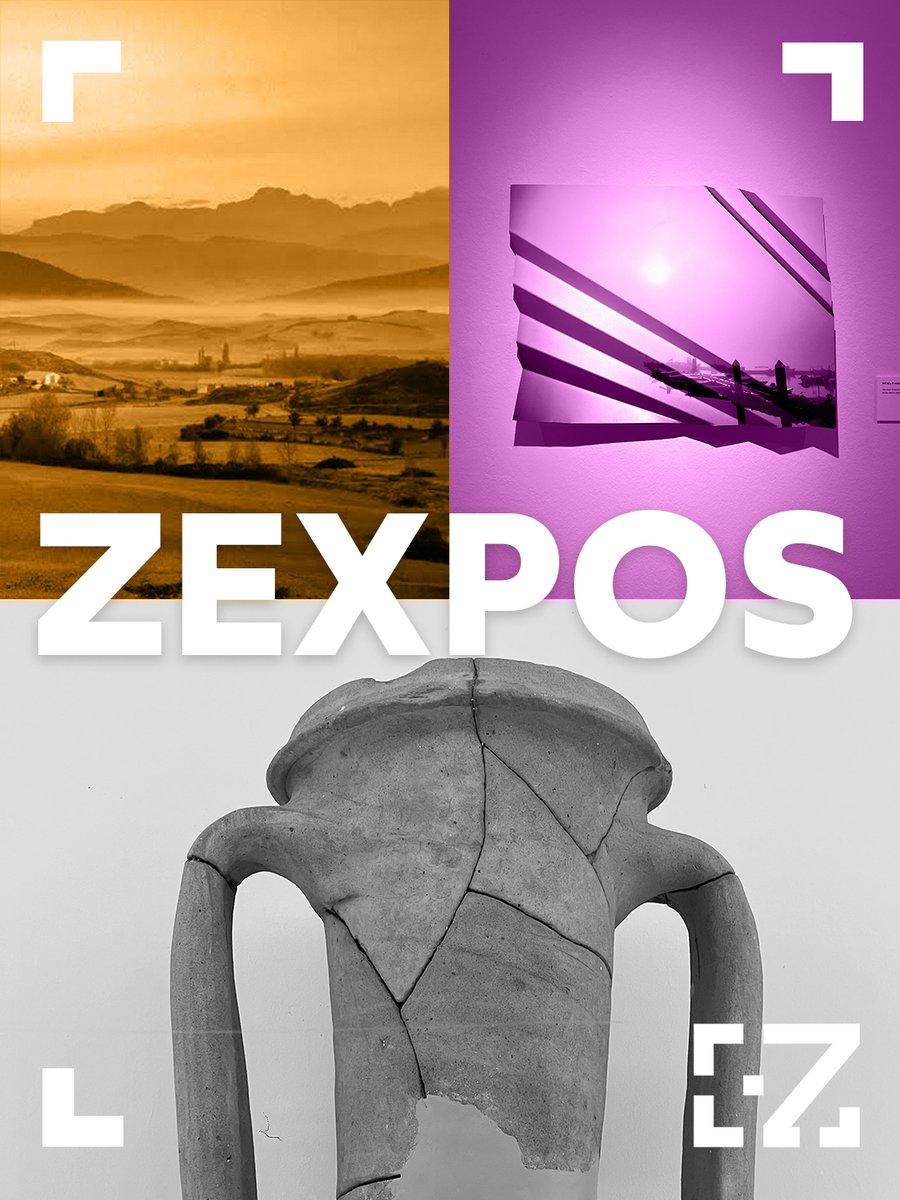 zexposiciones tweet media