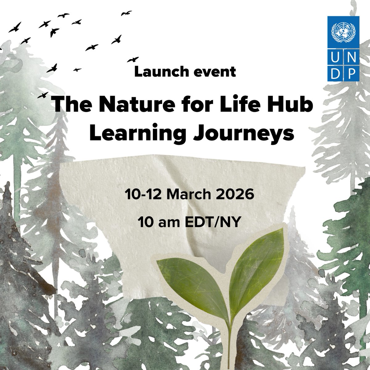 UN Development tweet media