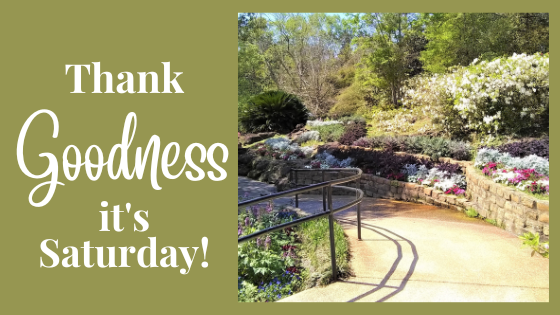 Dottie Lovelady Rogers tweet media