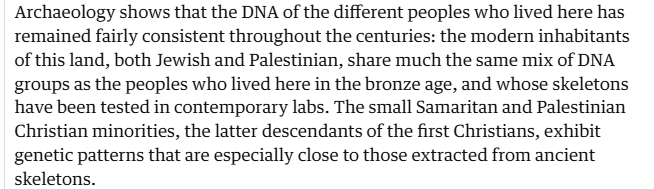 RenatoWilmamara tweet media