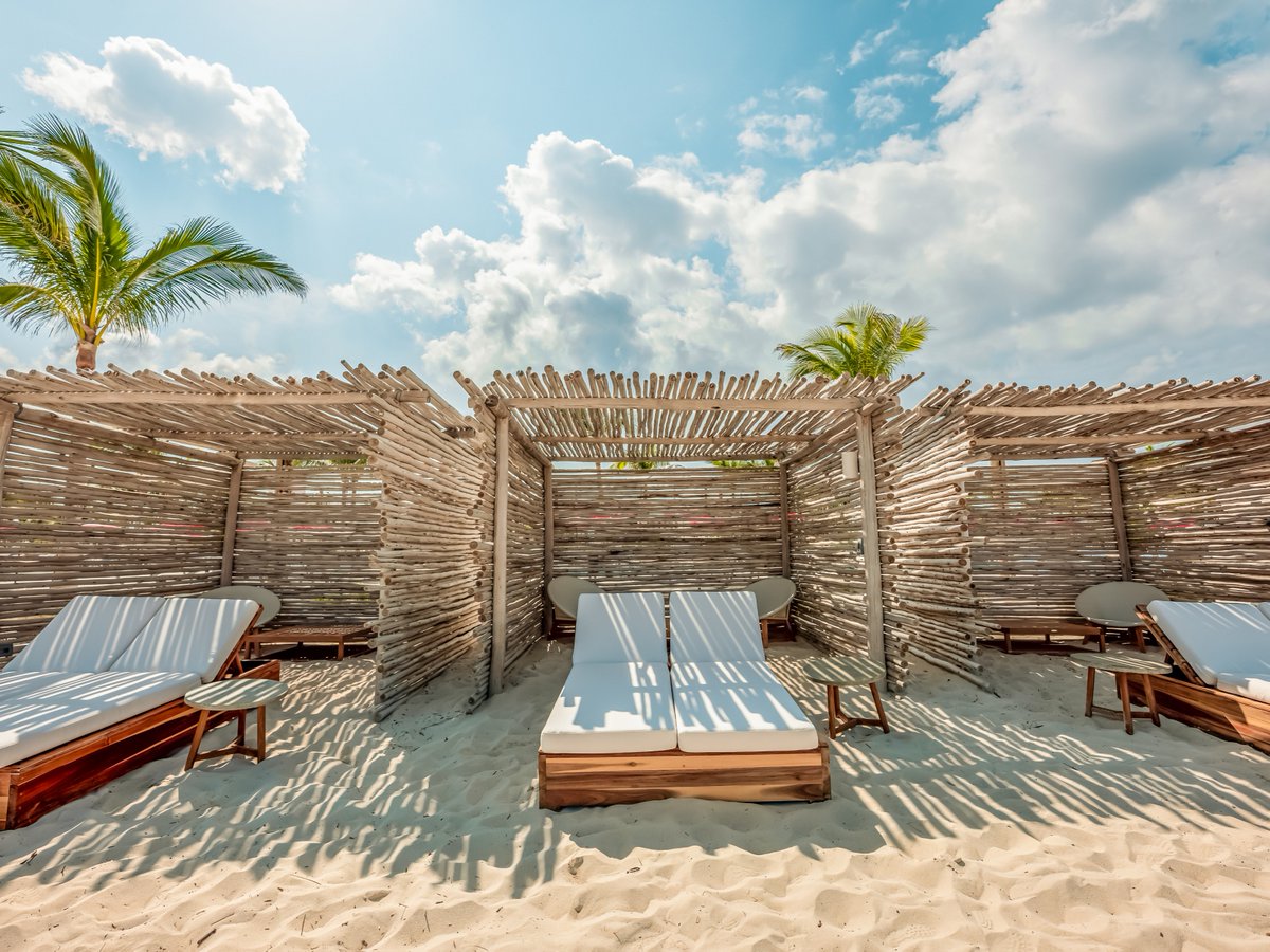 Resorts World Bimini tweet media