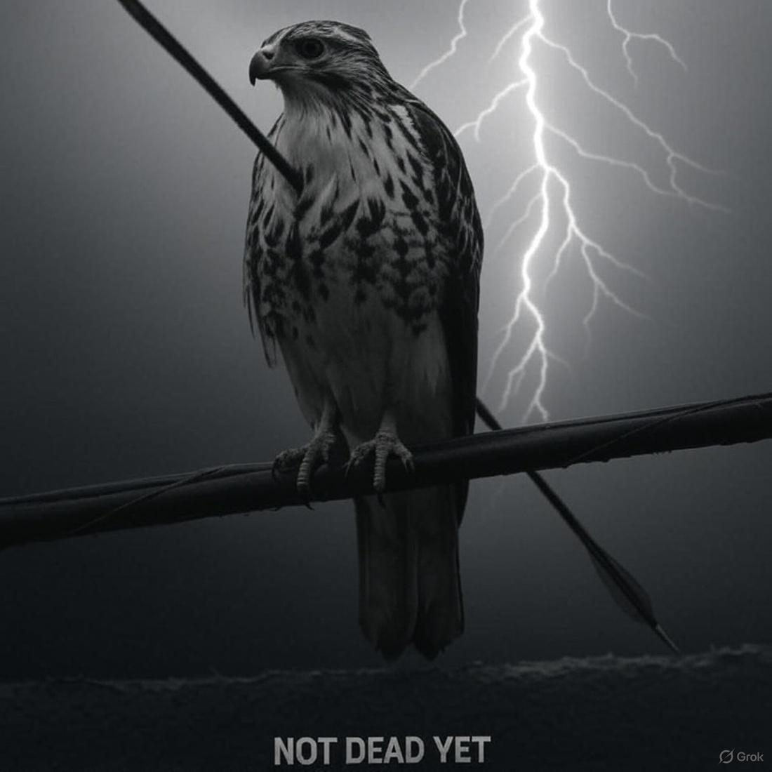 Unbroken tweet media