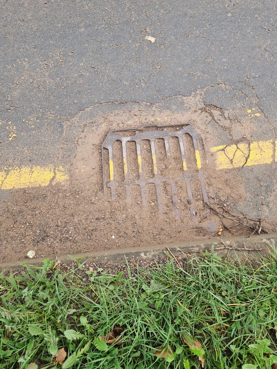 Grumpy Veteran tweet media