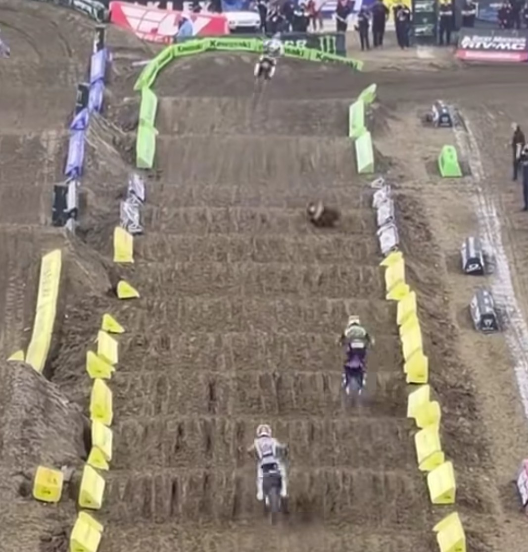 Studio Cat tweet media