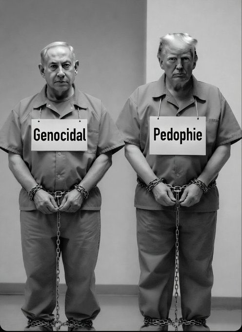 Rafif Sheikh tweet media