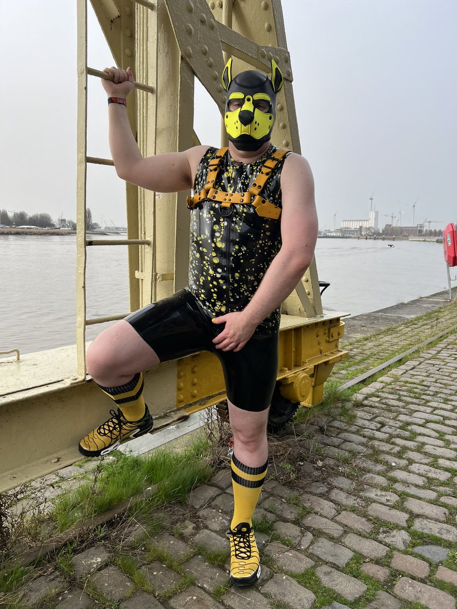 Zyron 🔜 MRW, Folsom Europe, MOG 2k tweet media