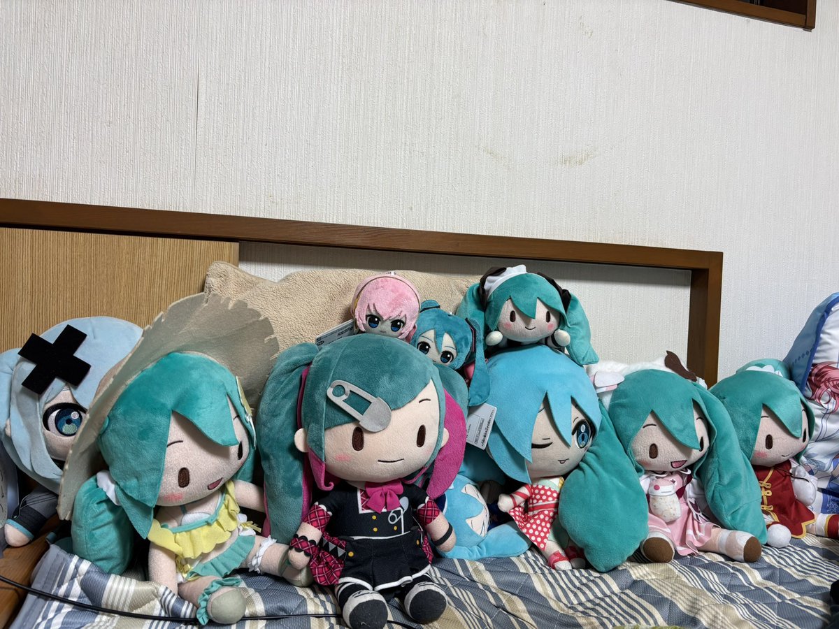 kyon(きょん) tweet media