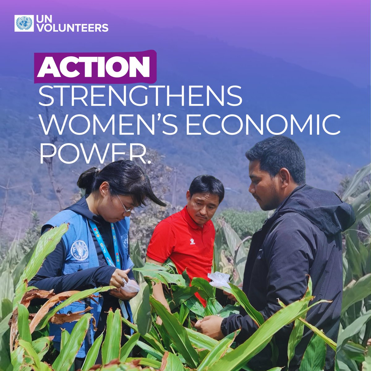 Voluntarios ONU América Latina y el Caribe tweet media