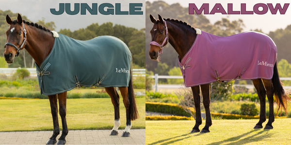 oakfieldsaddle's tweet photo. LeMieux Bamboo Cooler Rugs now available in this seasons colours too!😍
Bamboo coolers are great for travel, after bathing or after exercise! 💦
Now in Jungle, Mallow and Powder blue🩷
https://t.co/2ezSVjwe7s https://t.co/XWJNV9Hk7Q