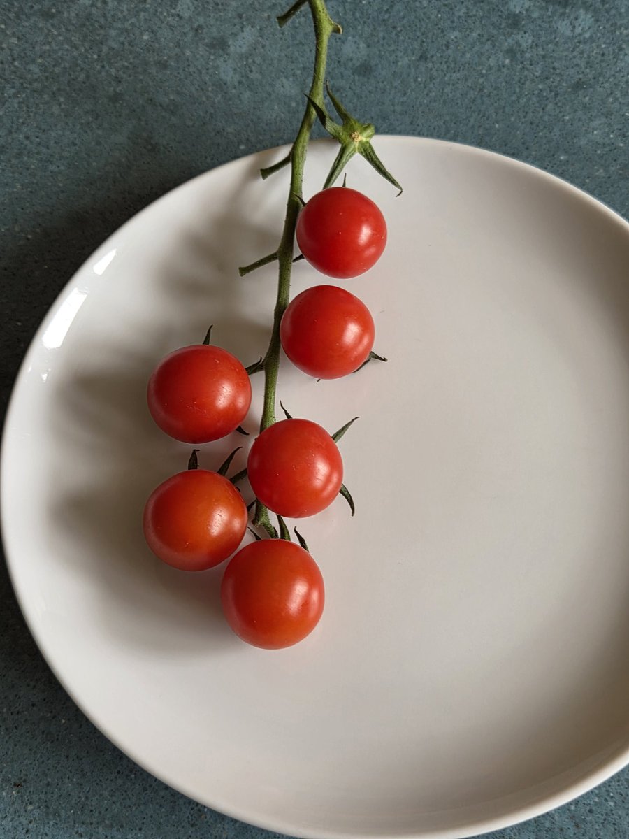 AlexCoombsCrime tweet media