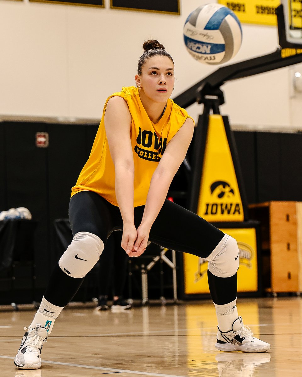Iowa Volleyball tweet media