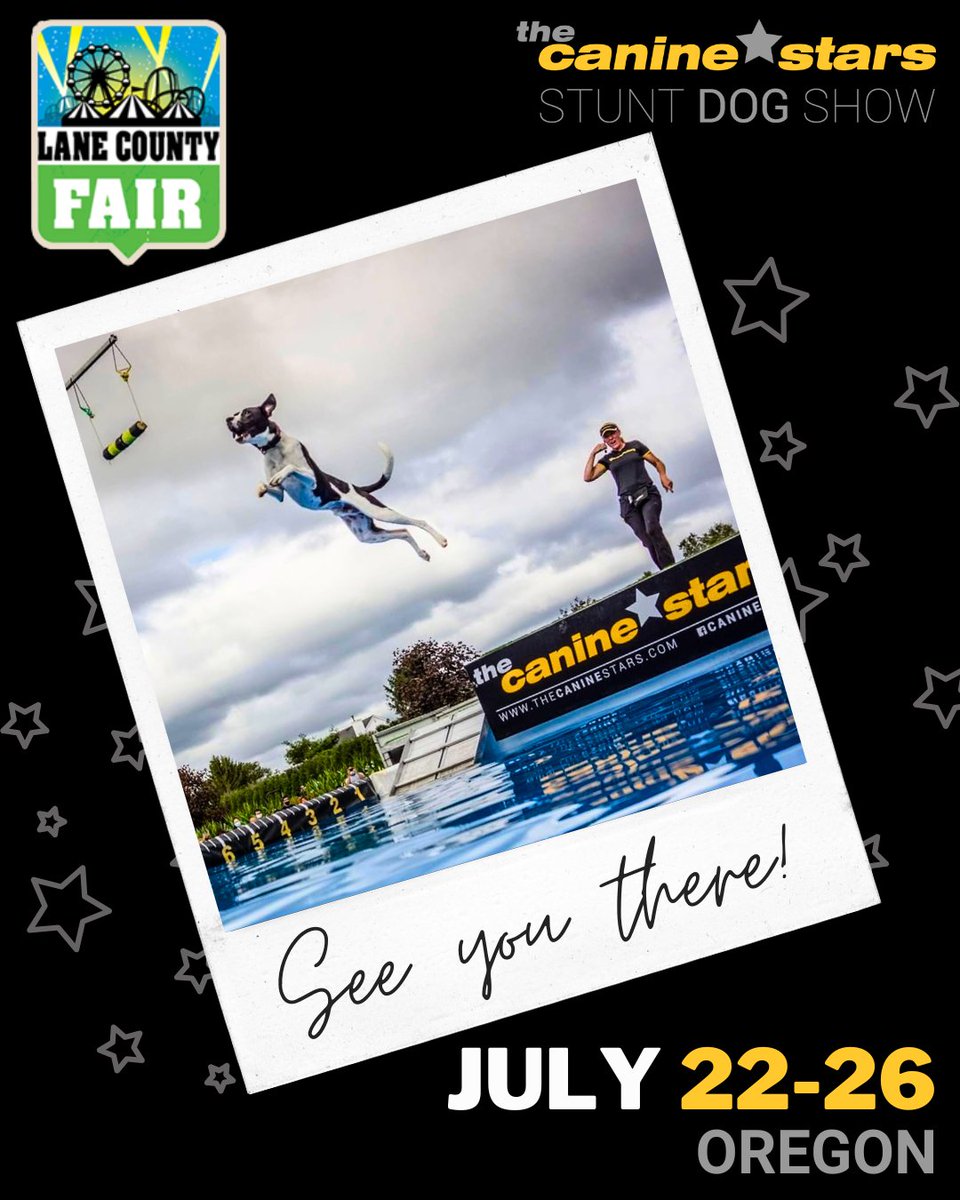 The Canine Stars tweet media