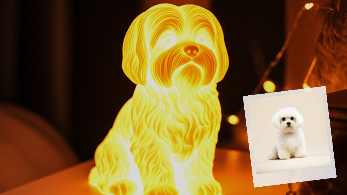 WenderStudios's tweet image. 🌑 You've accepted that every dark shirt you own now has a fine white silk thread woven into it permanently

Every Maltese owner knows.

wenderpets.com/breeds/maltese…

#BloodMoon #Maltese #PetMemorial