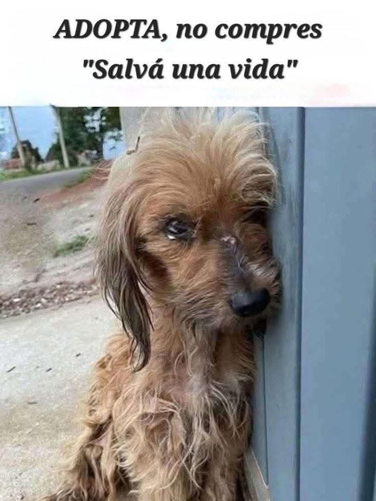 Manu Saenz💛💛 tweet media