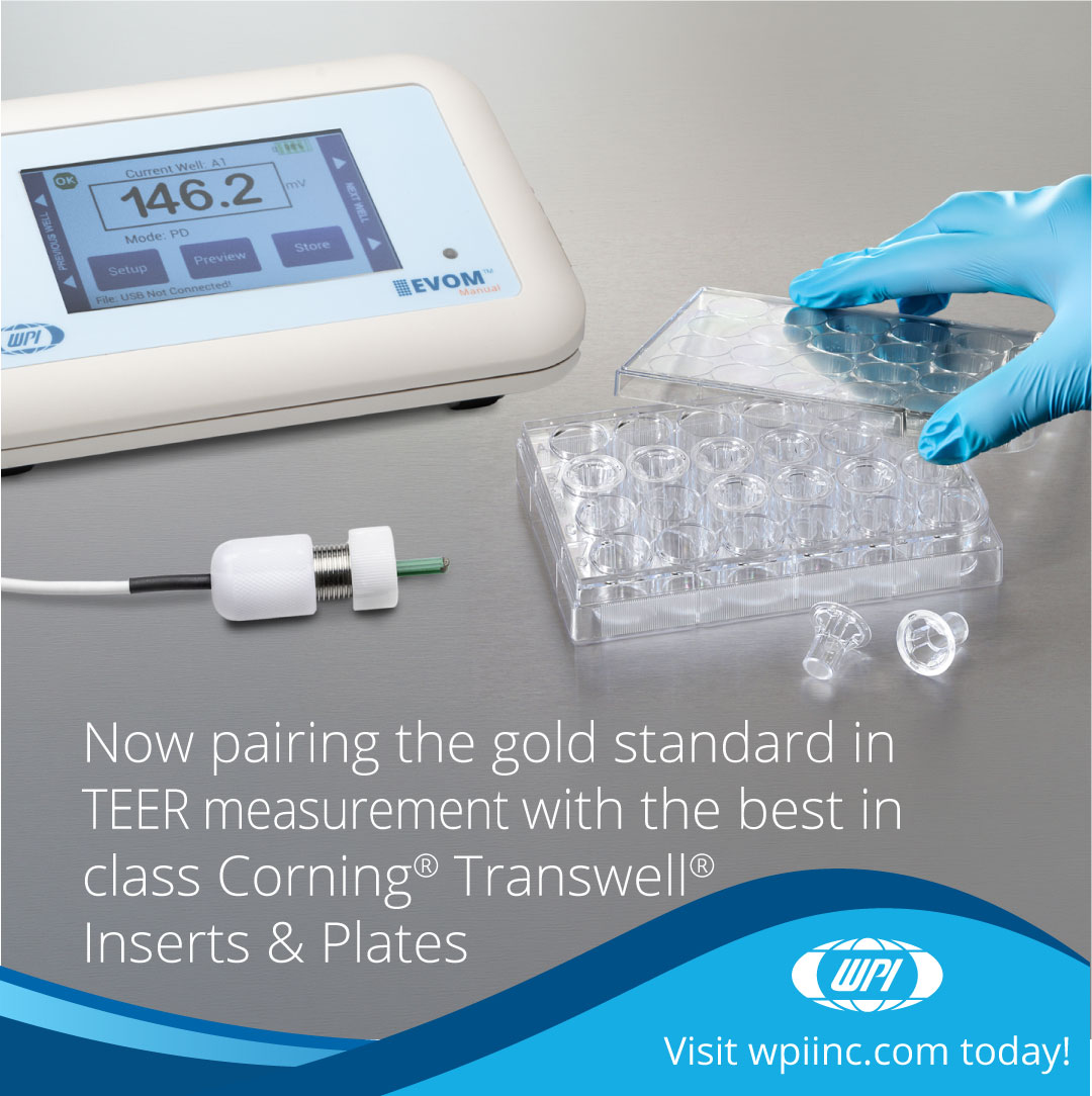 World Precision tweet media