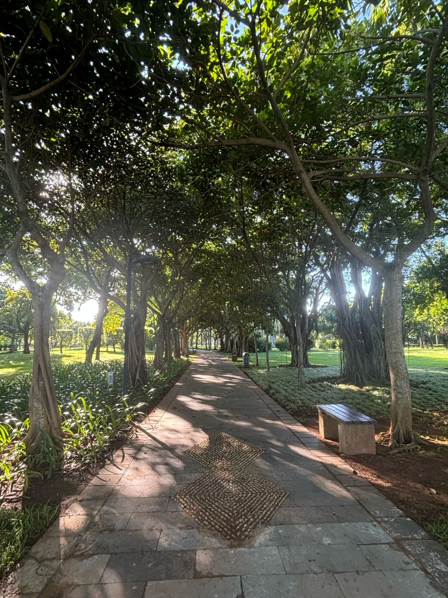 مصطفى tweet media