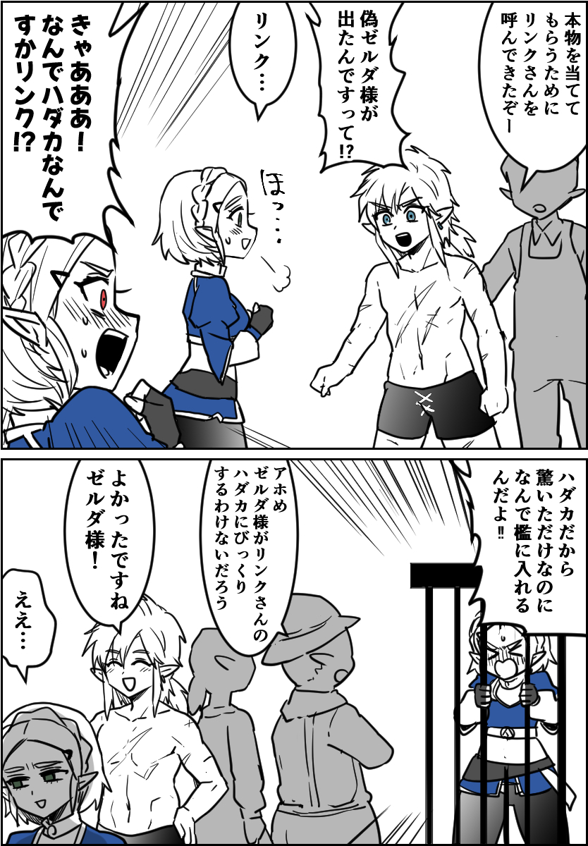 見慣れてるゼルダ様を見慣れているハイラルの民 