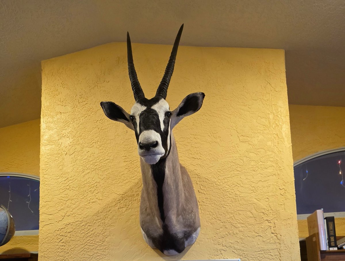 Jenny Fulton tweet media