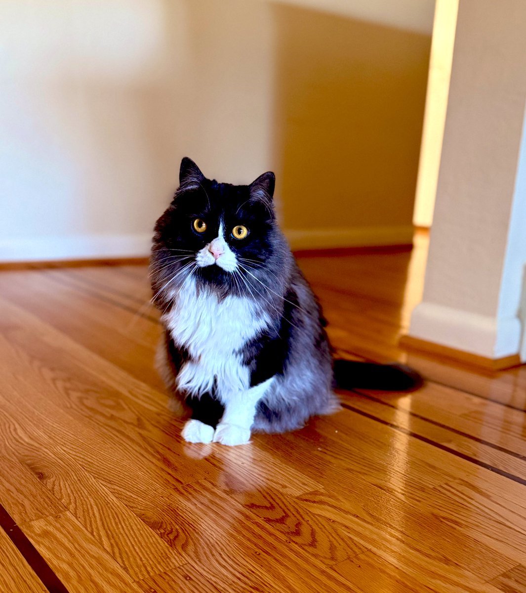 Tina Termini tweet media