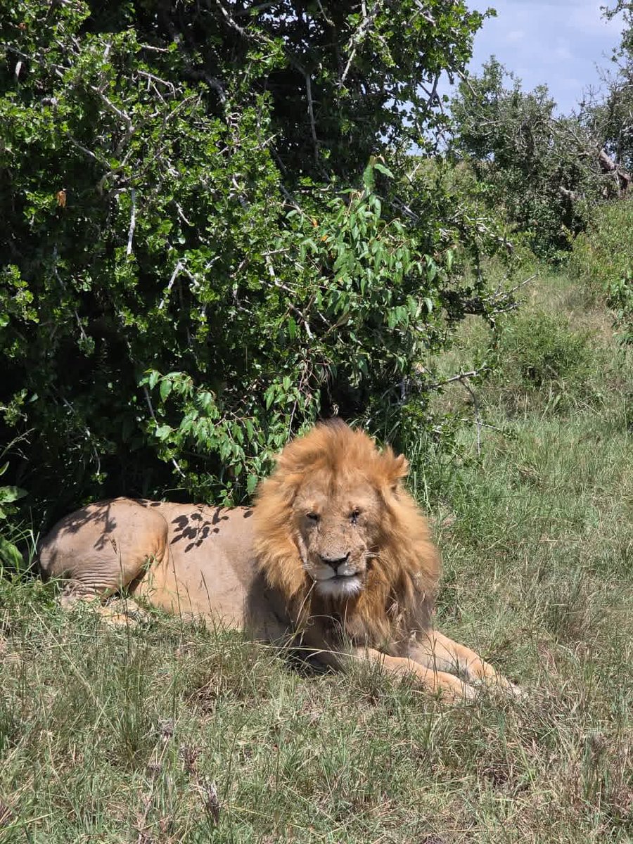 Once in Africa Travel tweet media