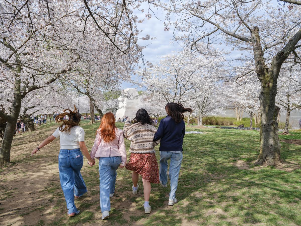 GW University tweet media