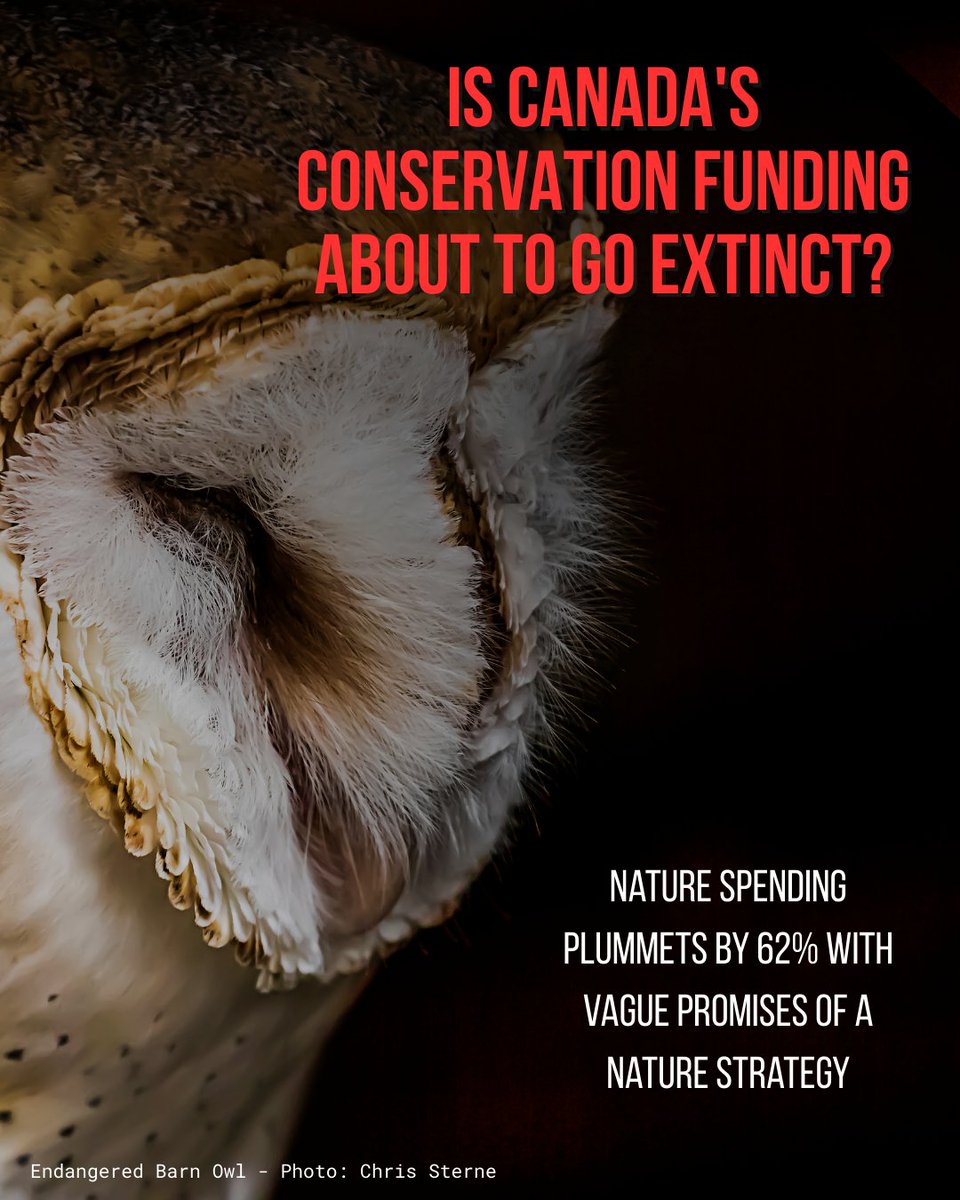 Nature Canada tweet media