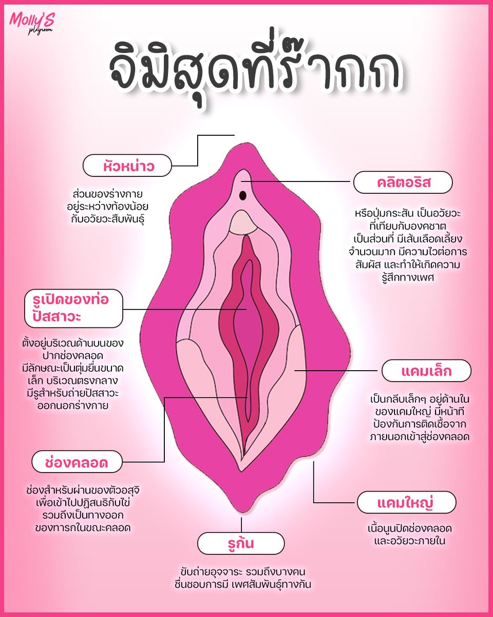 มอลลี่ นักออกแบบ sextech🍑 tweet media