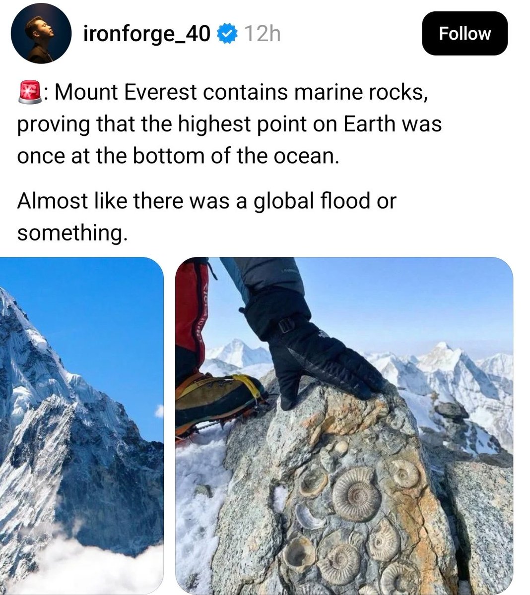 Rebekah Jones tweet media