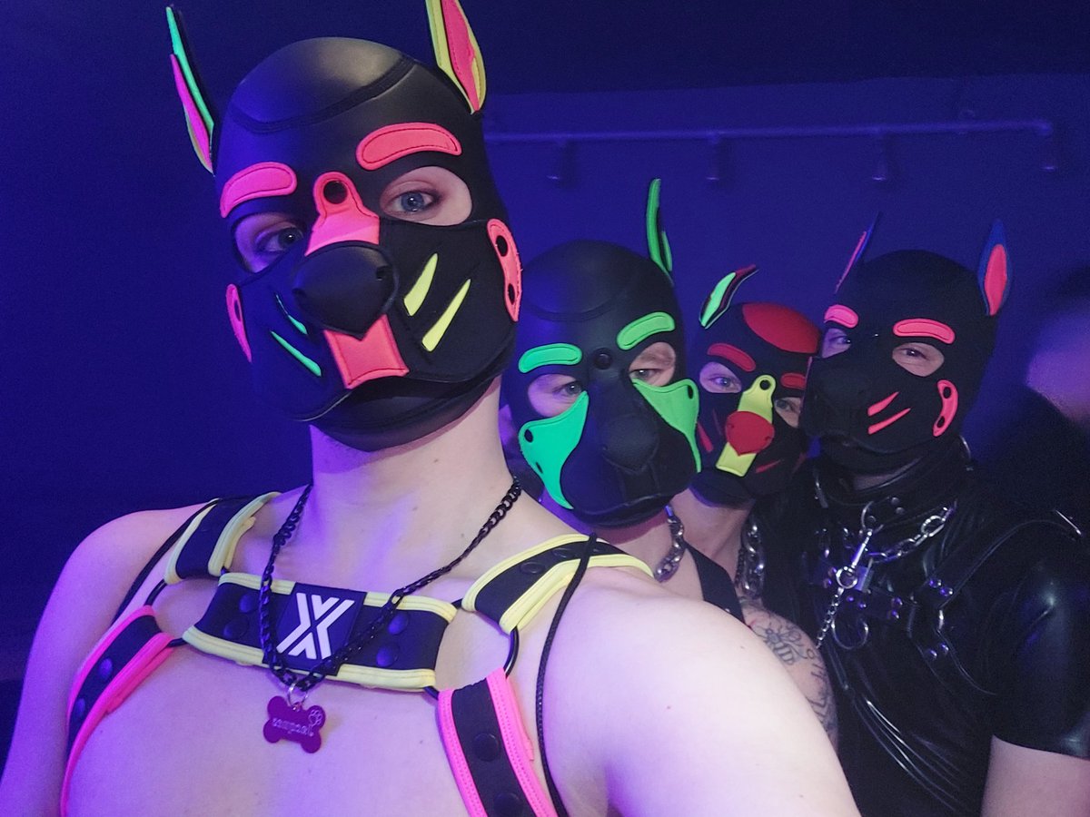 Pup Jacques tweet media