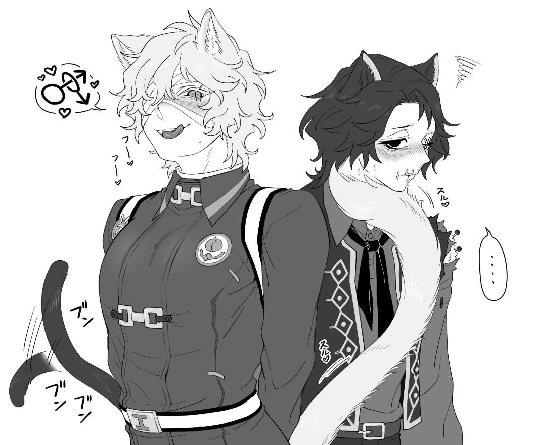 お誘いマティフロ🐈‍⬛🐈
春先は忙しいねこちゃんたち