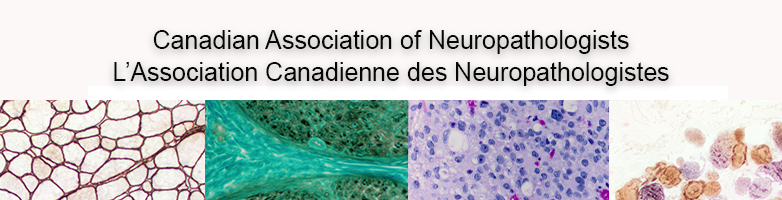 Canadian Association of Neuropathologists tweet media