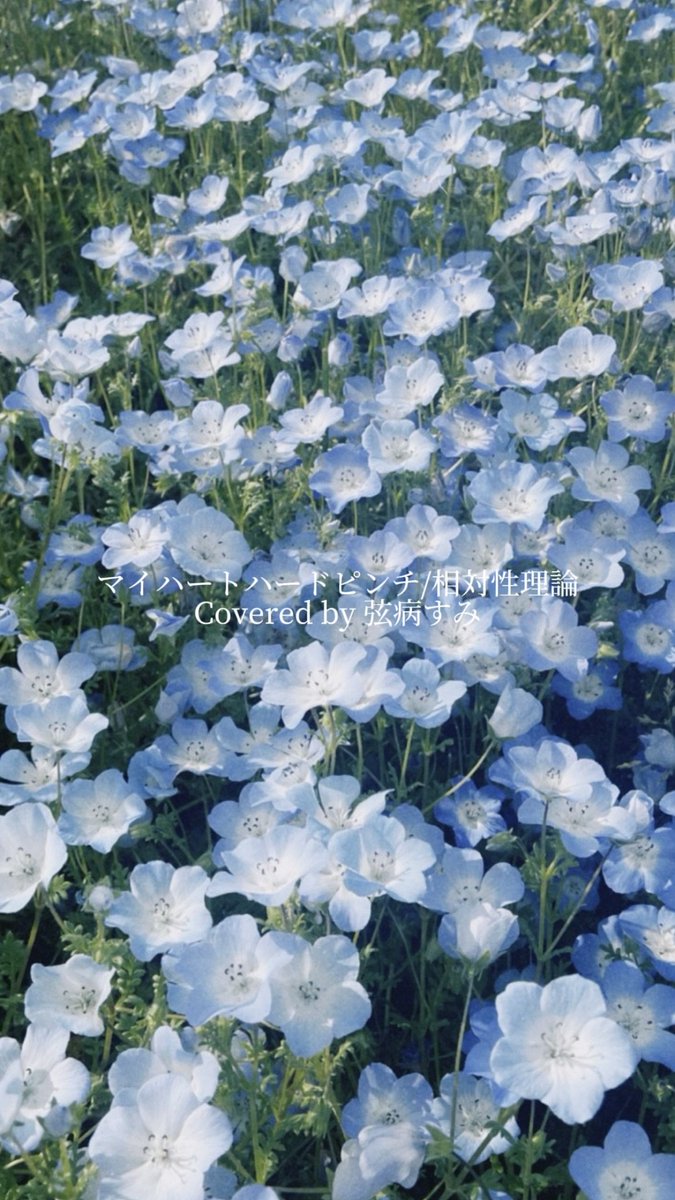 弦病すみ/zuruyasumi tweet media