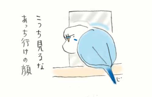 1日おきメモ（中原じゅん子） tweet media