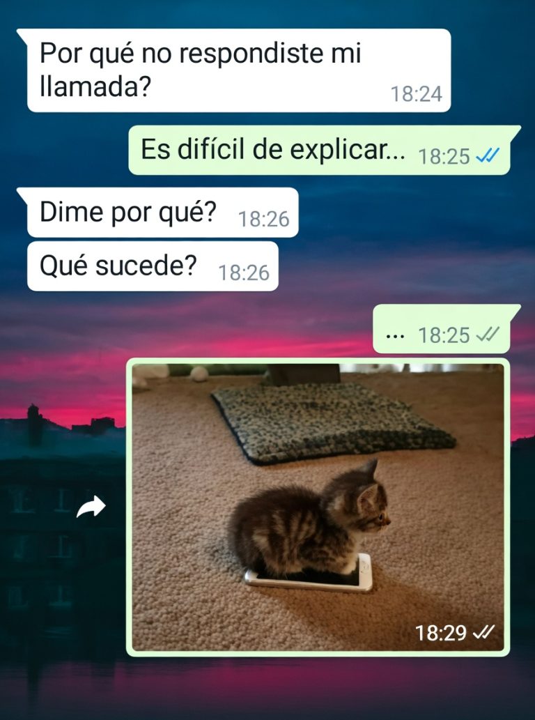 NaOwCSGO tweet media