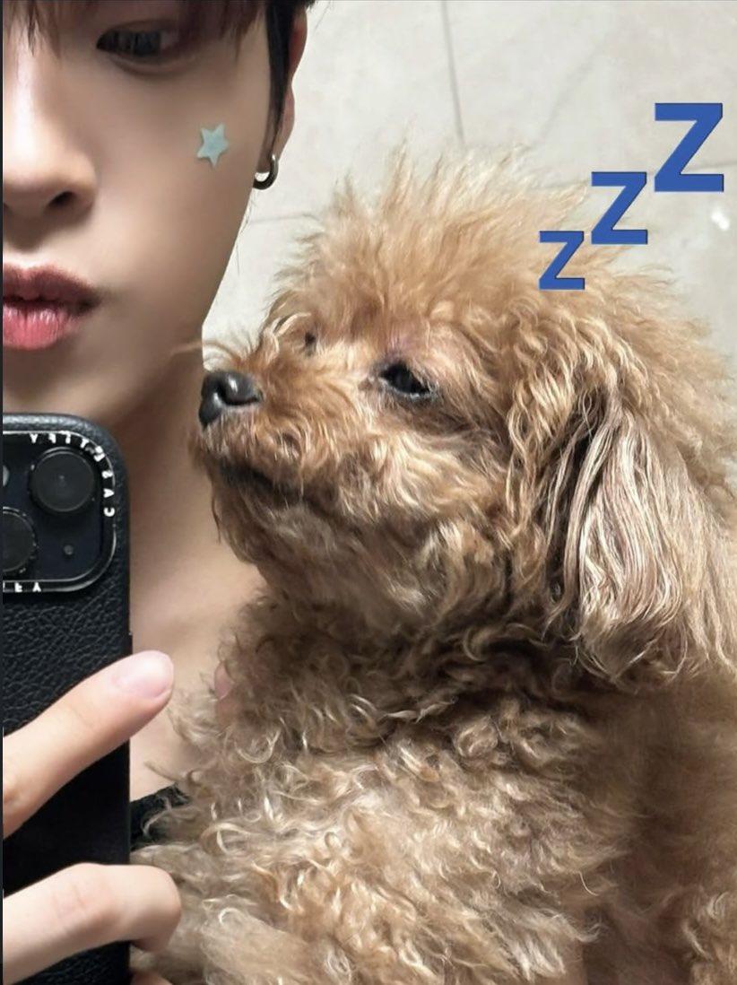 doodles and poodles and some of the two biggest dog lovers ❤️❤️❤️

Gracie’s rdysd debut🥹❤️

#RDYSD #roadyselcaday #road𝓨selcaday #xikers   
#싸이커스  #로디 #준민 #JUNMIN 
<a href="/xikers_official/">xikers(싸이커스)</a>