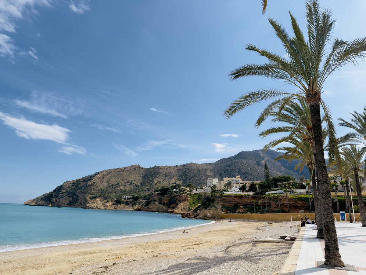 Franny Griffiths 🕷 tweet media