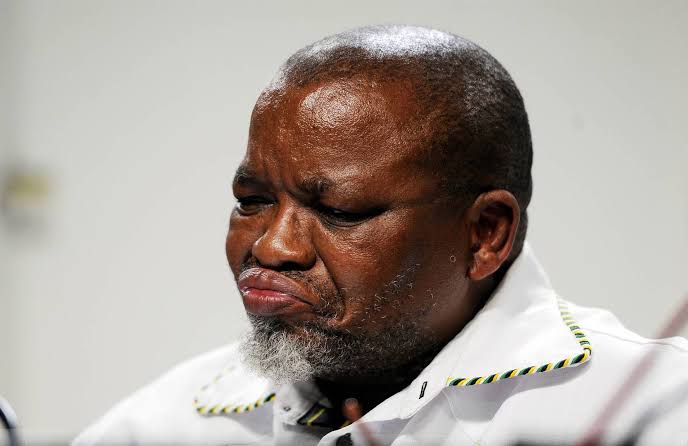 As a Tlhantlhagane nonyana e pududu, I knew it the moment I saw Suleiman Carrim that there's no way one can have a Cat Matlala, Mokoni wa nchi dikgolo, running such a massive criminal empire without a #Gupta lurking in the shadows. No ways.