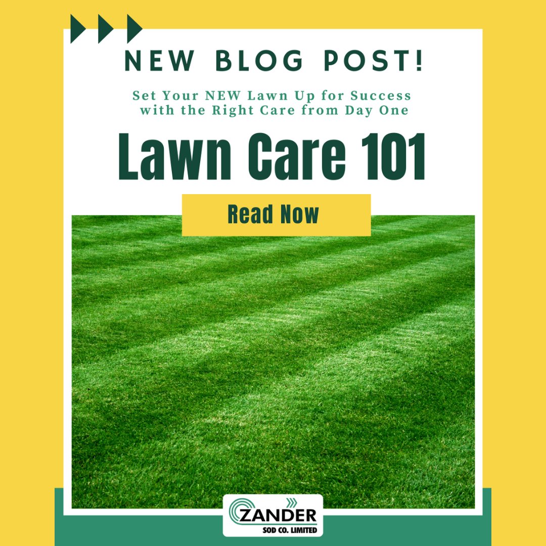 Zander Sod tweet media