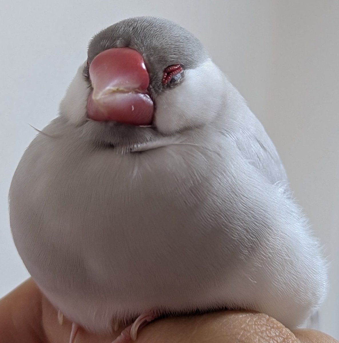 幸せそうな寝顔