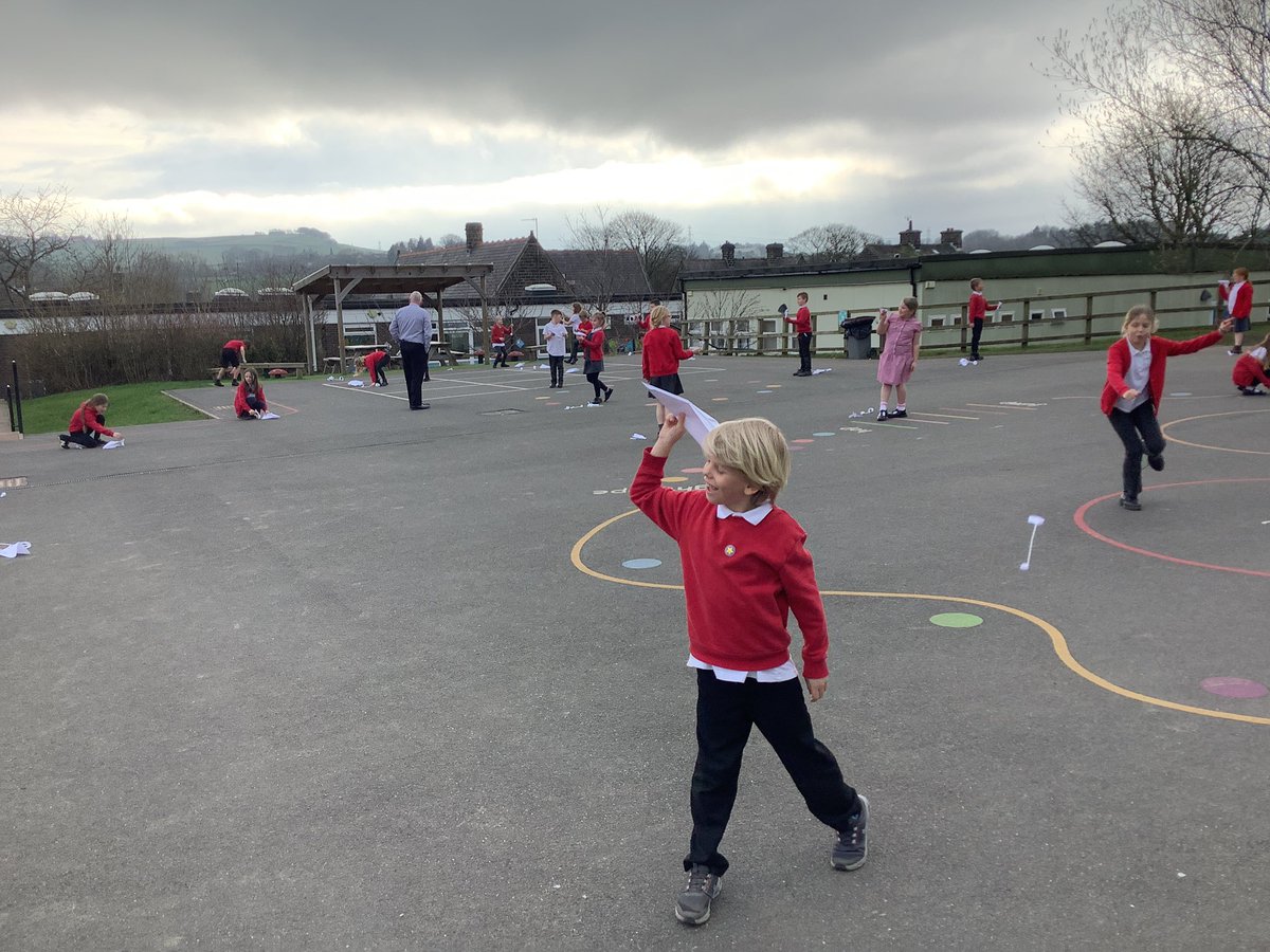 Millhouse Primary tweet media