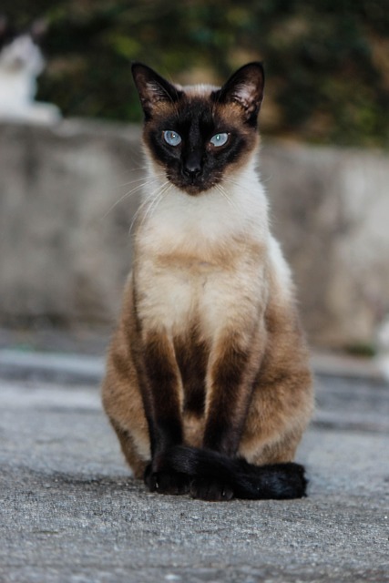 Leslie Garcia tweet media