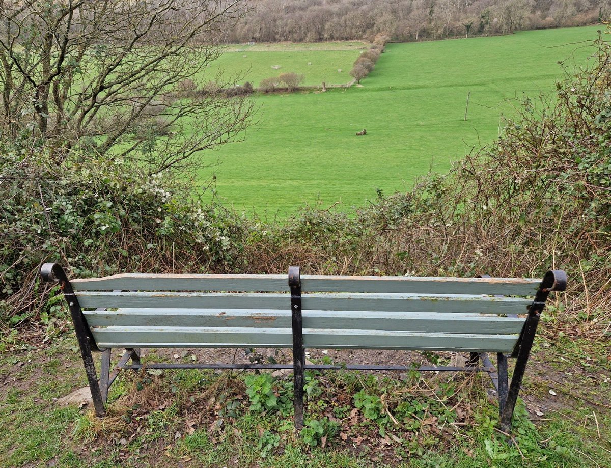 The Strawberry Line tweet media