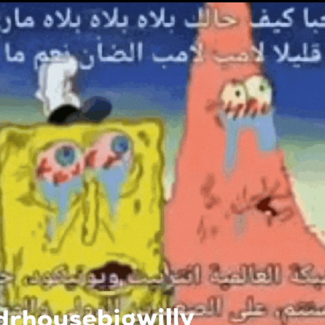 𝑭 📔 tweet media