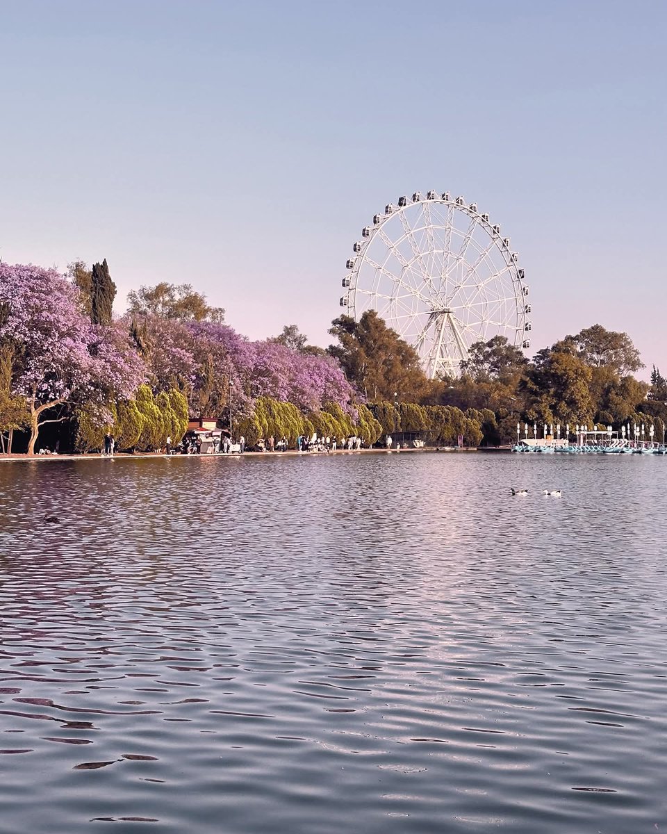 Raúl Gutiérrez tweet media