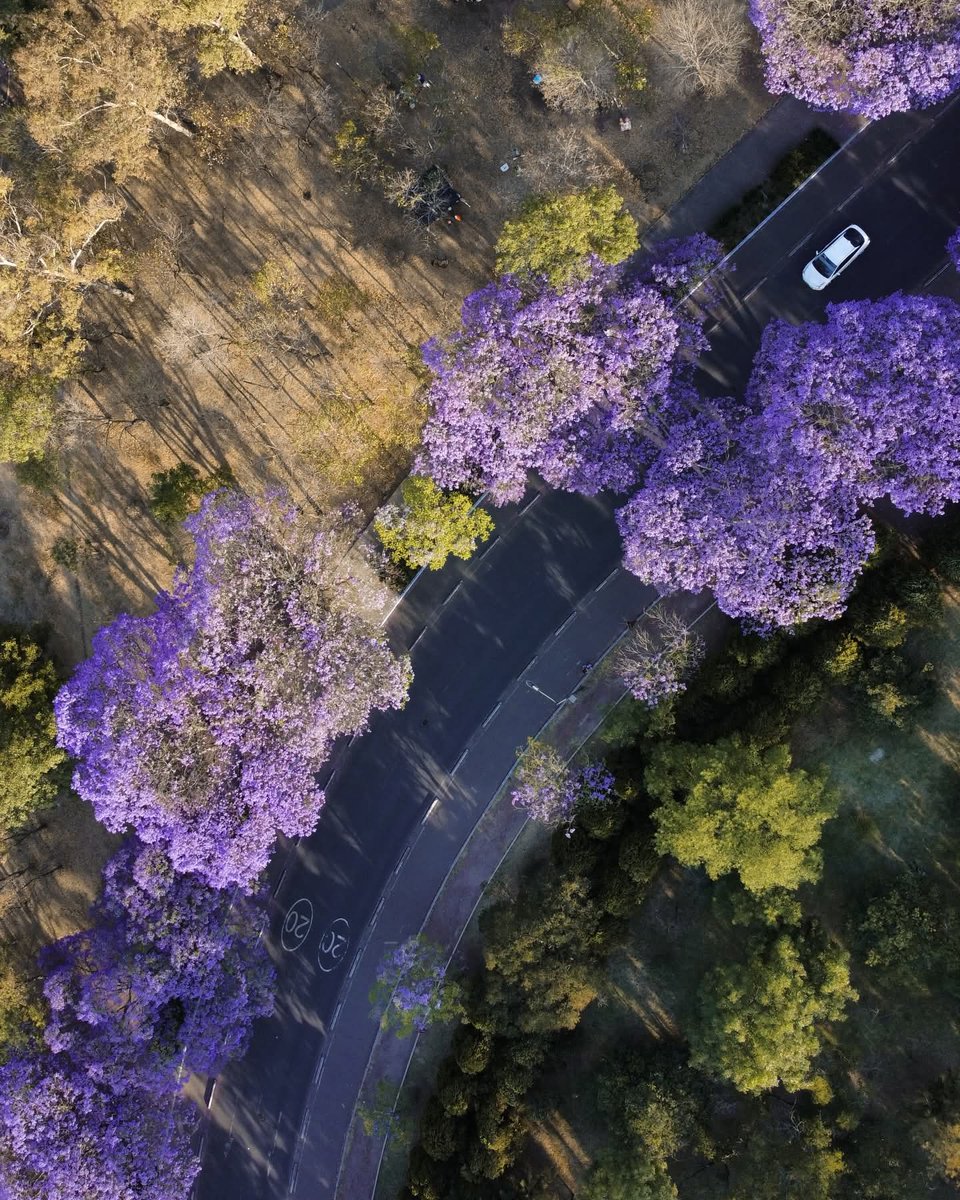 Raúl Gutiérrez tweet media