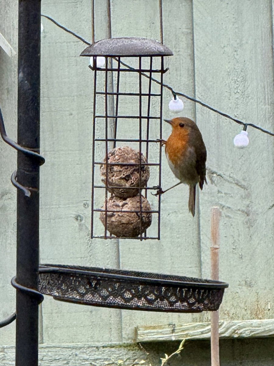 39_viv's tweet photo. Lovely weekend 🚶🏻‍♀️🐾🍝🐦‍⬛ https://t.co/0a89xUWRdk