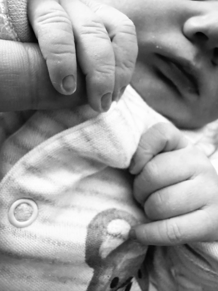 Gem 🦋 tweet media